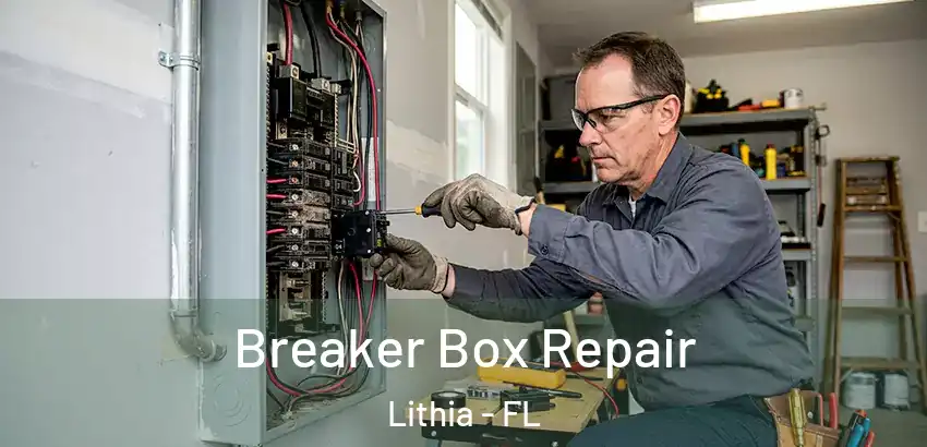  Breaker Box Repair Lithia - FL