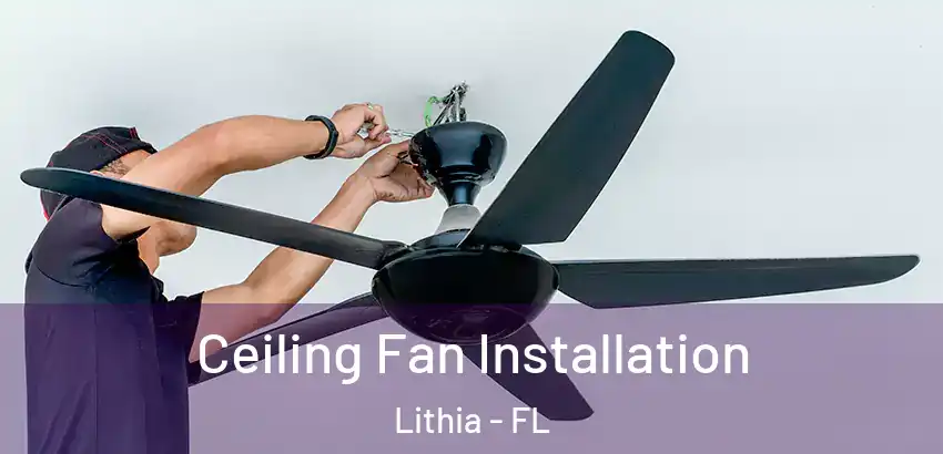 Ceiling Fan Installation Lithia - FL