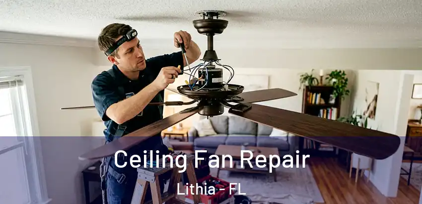 Ceiling Fan Repair Lithia - FL