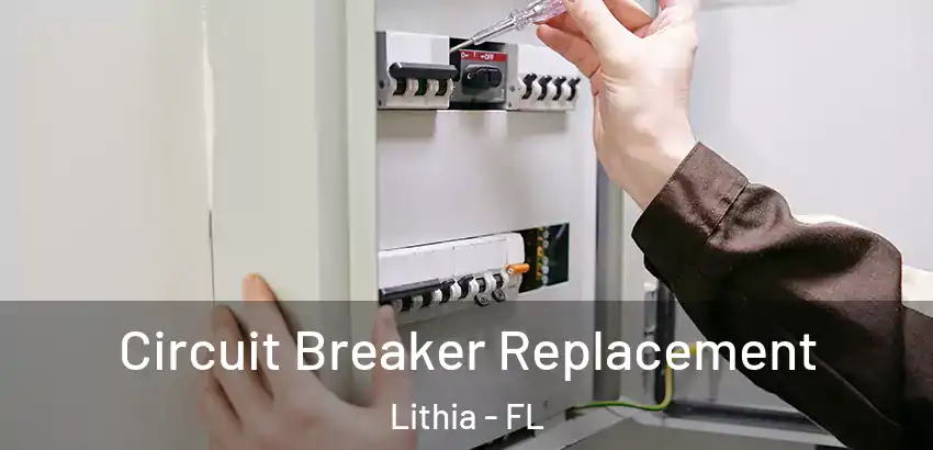 Circuit Breaker Replacement Lithia - FL