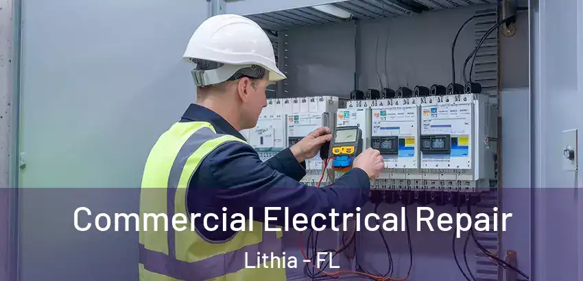  Commercial Electrical Repair Lithia - FL