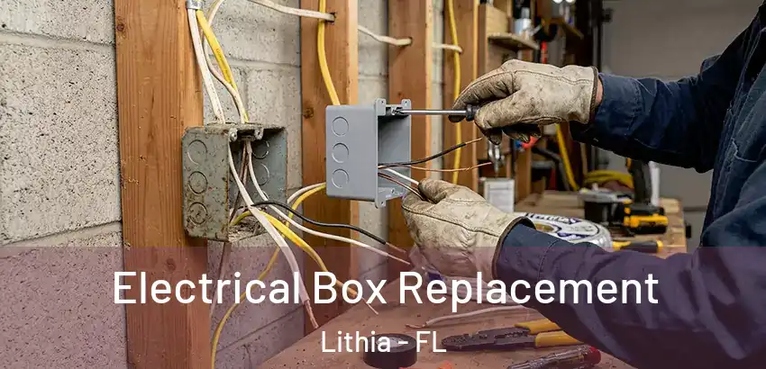  Electrical Box Replacement Lithia - FL