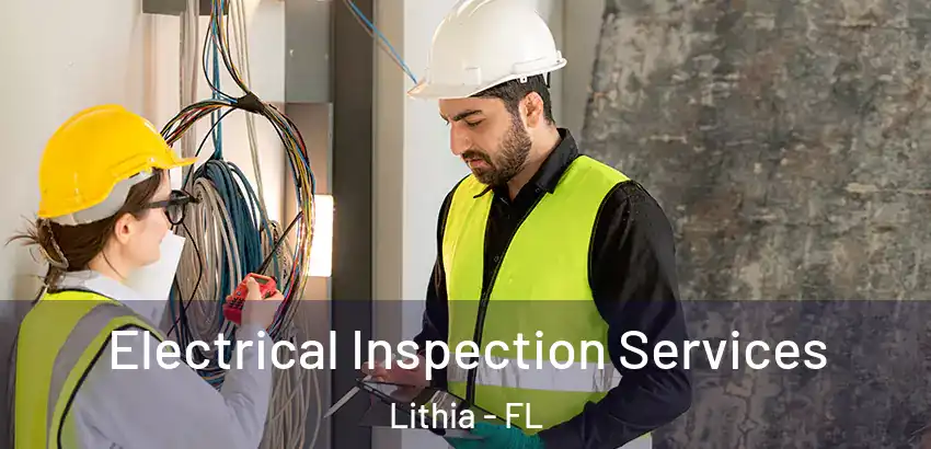 Electrical Inspection Services Lithia - FL