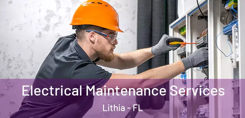 Electrical Maintenance Services Lithia - FL