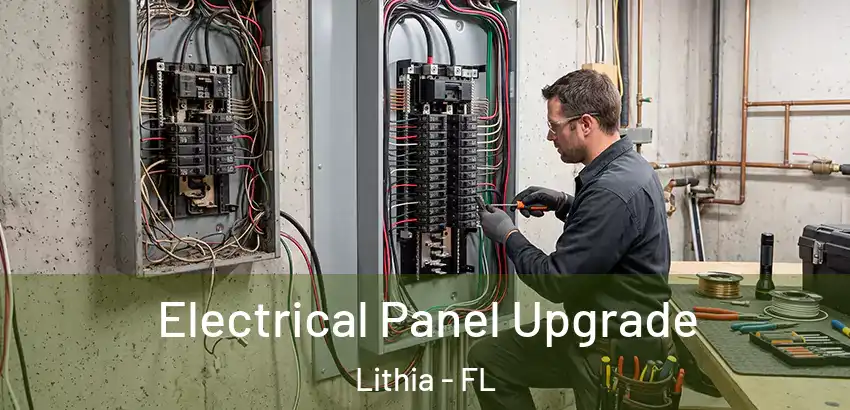 Electrical Panel Upgrade Lithia - FL