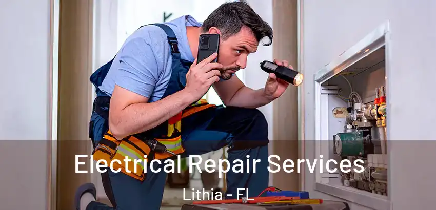 Electrical Repair Services Lithia - FL
