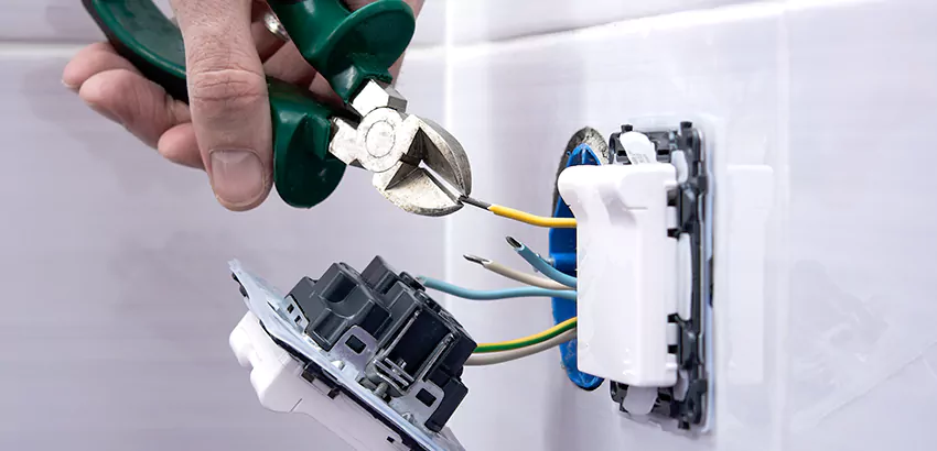 Light Switch and Dimmer Installation in Lithia
