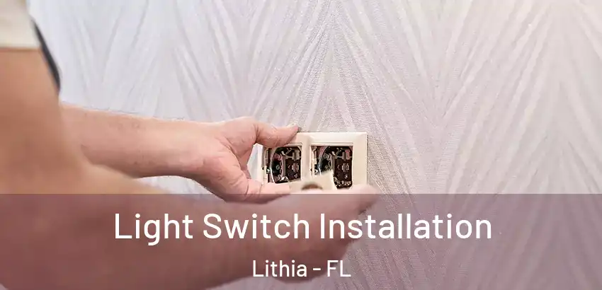  Light Switch Installation Lithia - FL