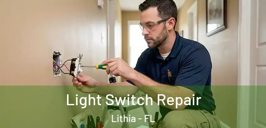 Light Switch Repair Lithia - FL