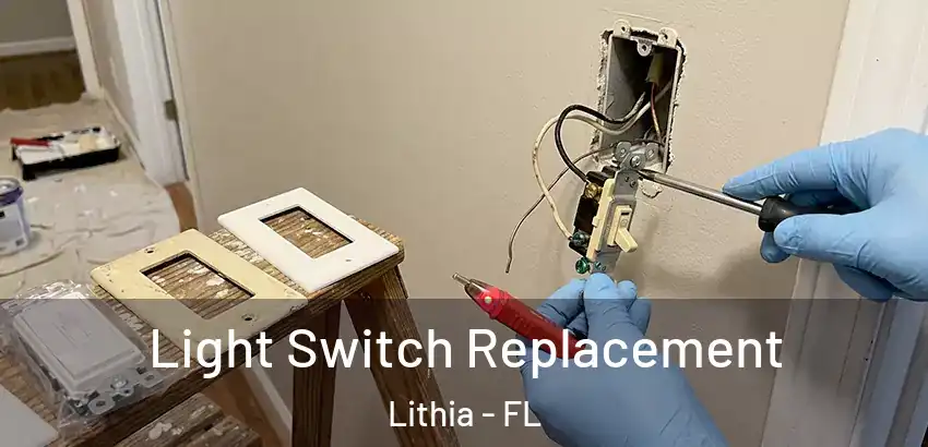  Light Switch Replacement Lithia - FL