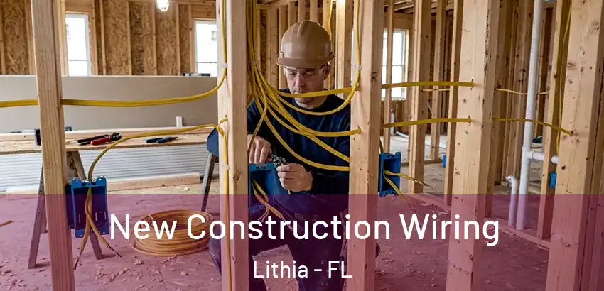 New Construction Wiring Lithia - FL