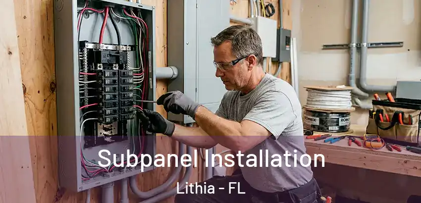  Subpanel Installation Lithia - FL