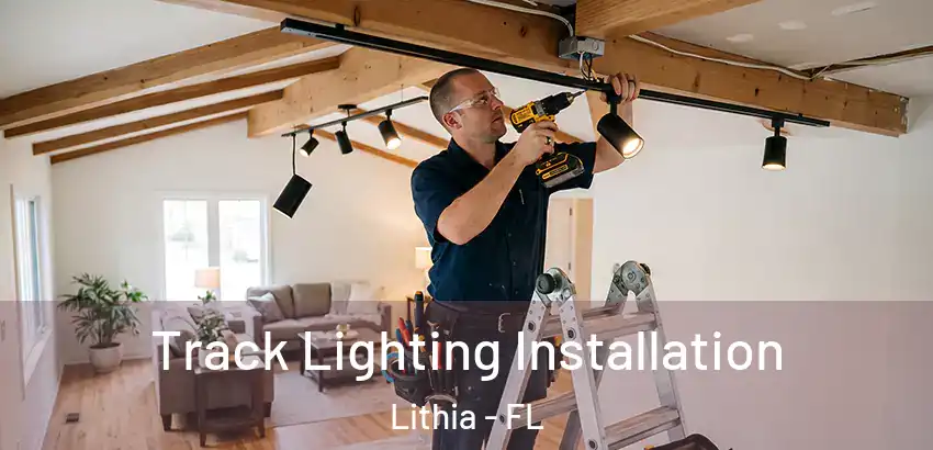 Track Lighting Installation Lithia - FL