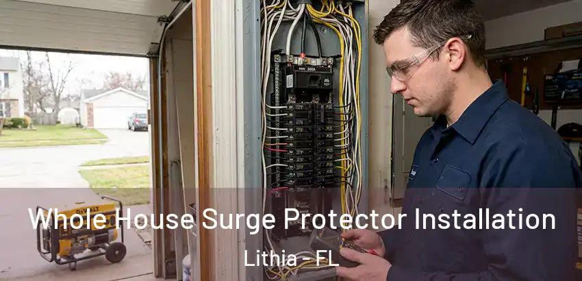  Whole House Surge Protector Installation Lithia - FL